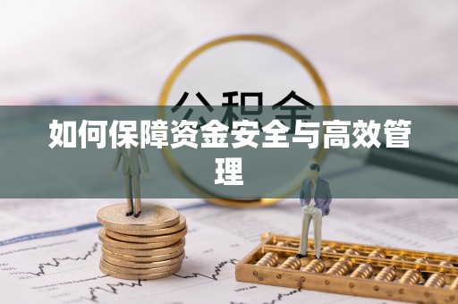 岳西如何保障资金安全与高效管理