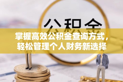 呼兰掌握高效公积金查询方式，轻松管理个人财务新选择