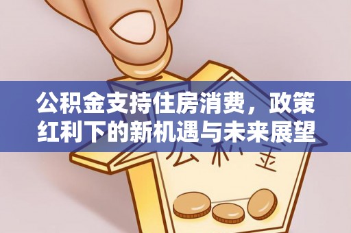 谷城公积金支持住房消费，政策红利下的新机遇与未来展望