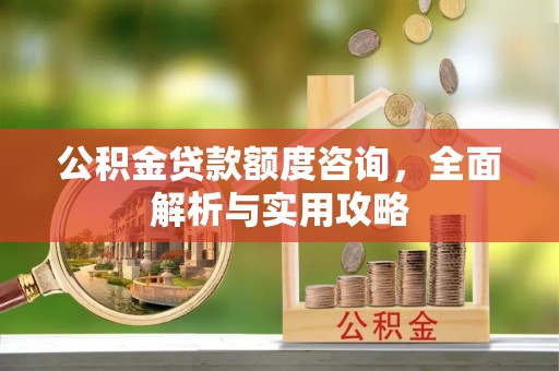 饶阳公积金贷款额度咨询，全面解析与实用攻略