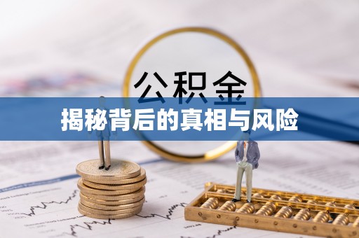 埌东揭秘背后的真相与风险
