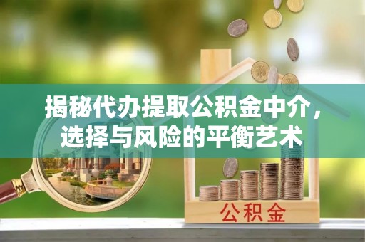 慈溪揭秘代办提取公积金中介，选择与风险的平衡艺术