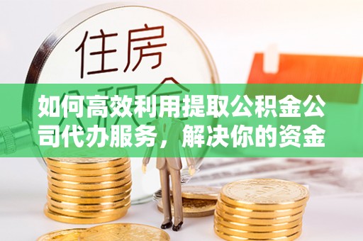 桂东如何高效利用提取公积金公司代办服务，解决你的资金难题