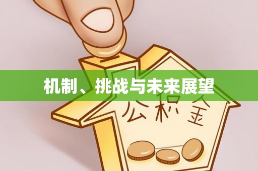 坊子机制、挑战与未来展望