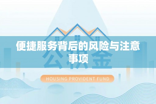 尖山便捷服务背后的风险与注意事项